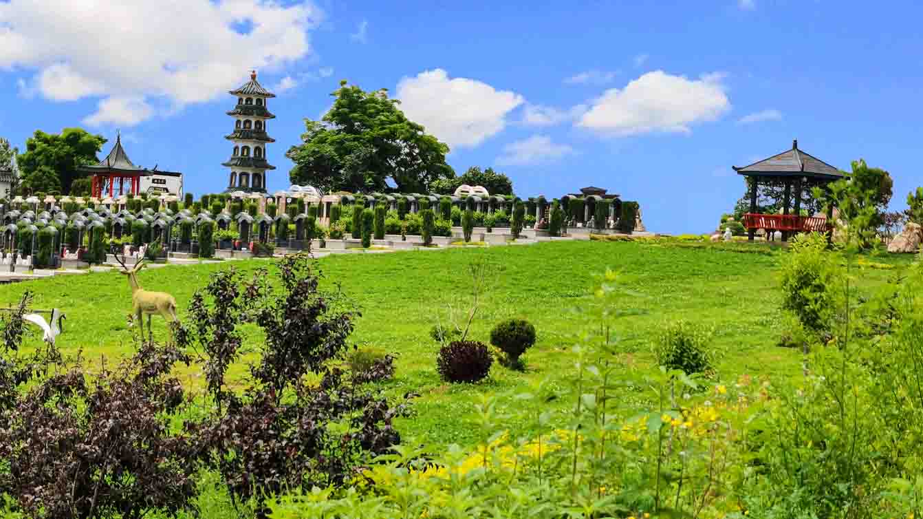 福山夏景绿植